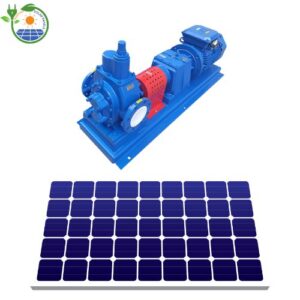 Positive displacement solar water pumps