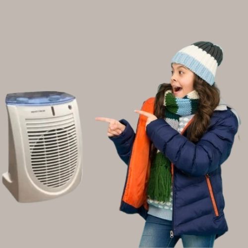 Haier Electric Fan Heater price